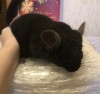 4 мес