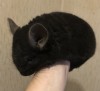 4 мес