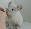 3,5мес