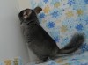 2мес