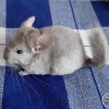 Луна