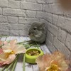 Мартиша
