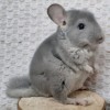 Марио