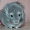 Милли