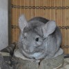 Кода