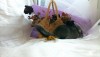 16.03.2022