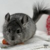 Космик