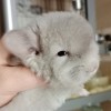 Мавери  н Нем 