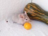 5 мес.
