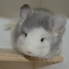 Космос