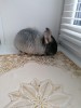 23.12.2021