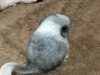 1 неделя