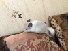 5 месяцев