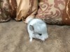 1 неделя