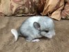 1 неделя