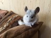 5 месяцев