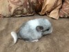 1 неделя