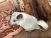 5 месяцев