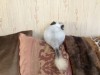 5 месяцев