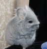 4 м