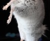 4 м