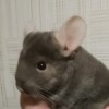 Пепел