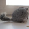 без имени