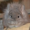 Зарина ЕК