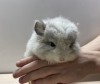 Микки