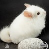 Людвиг Адальбе Беннет Ли