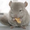 Макиато