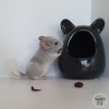 Джекки