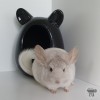 Уильям
