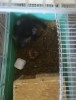 01.05.2019 дети с мамой Агатой 