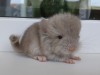 16.04.2022г