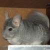 Корунд