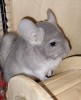 6 месяцев 