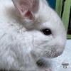 Каспер