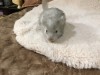 1 неделя
