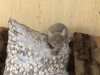 3 месяца