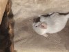 1 неделя