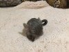 1 неделя