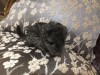 1 неделя