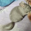 Берн