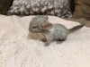 1 неделя