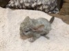 1 неделя