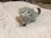 1 неделя