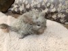 1 неделя
