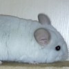 Милая