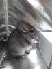6,5 месяцев